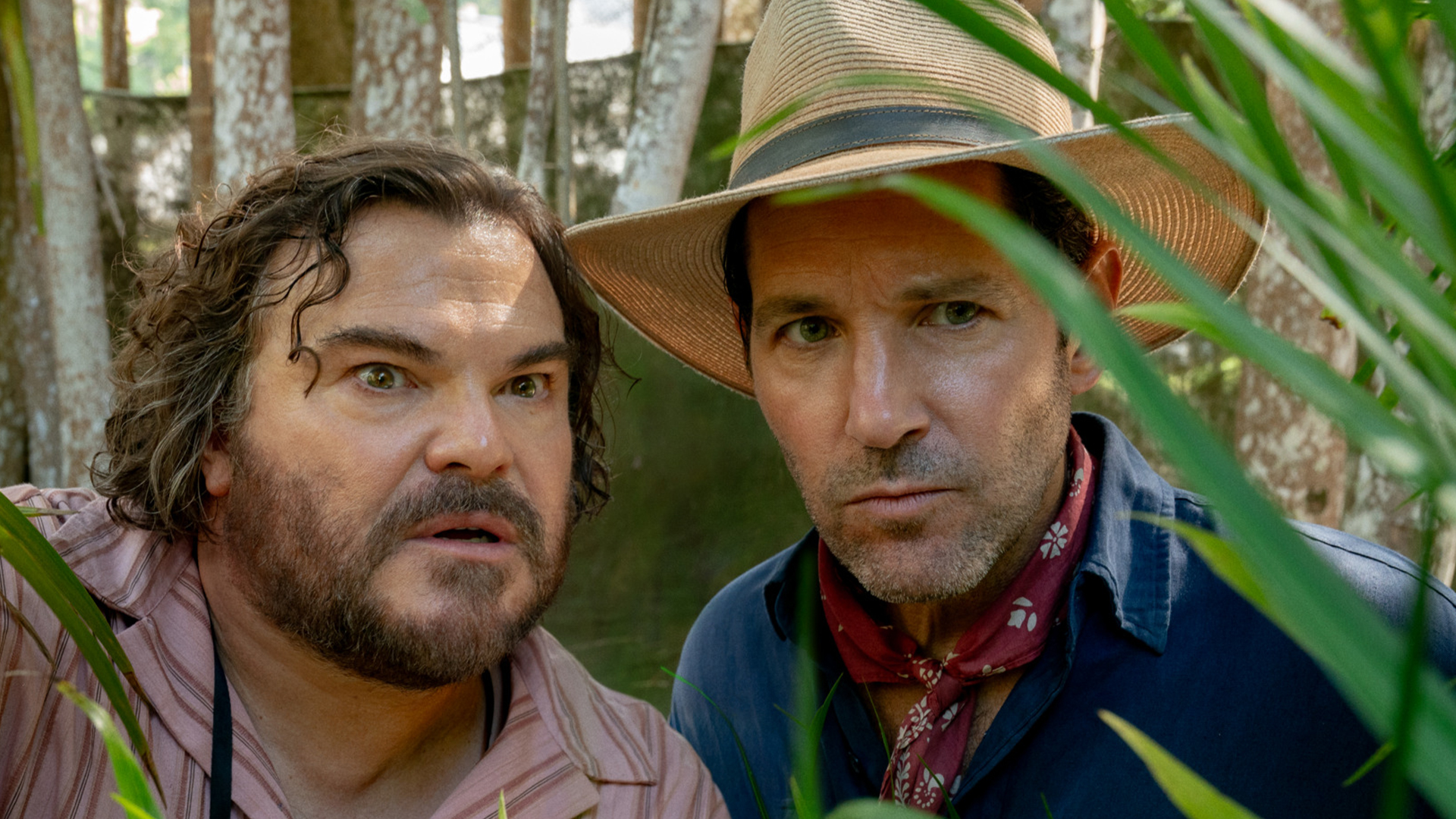 The best fun to have at the movies in Aotearoa this summer